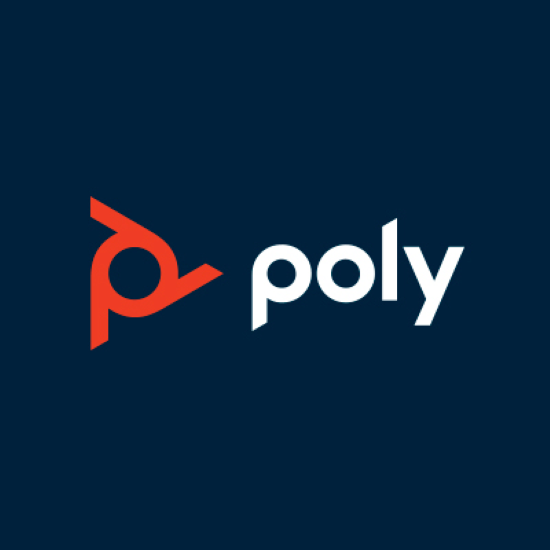 Poly Analyst Day: Competing Around an Open Ecosystem