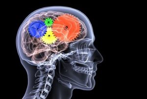 AWS Releases AutoGluon, an Innovative Open-Source Tooling for Automated Machine Learning