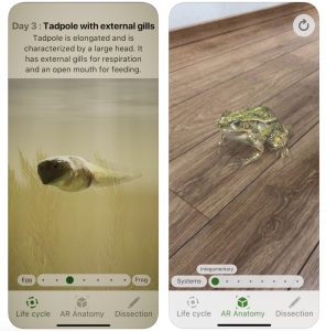 4 educational benefits of mobile technology