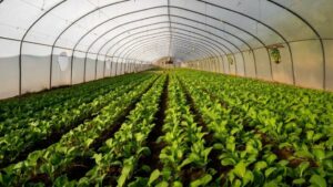 Amazon Announces Investments in Two Sustainable Companies as Part of The Climate Pledge Fund